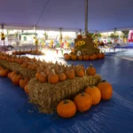 005-PICK-OF-THE-PATCH-PUMPKINS-BURLINGAME-