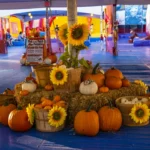 016-PICK-OF-THE-PATCH-PUMPKINS-BURLINGAME-