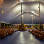 053-PICK-OF-THE-PATCH-PUMPKINS-BURLINGAME-