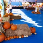 117-PICK-OF-THE-PATCH-PUMPKINS-BENTON-